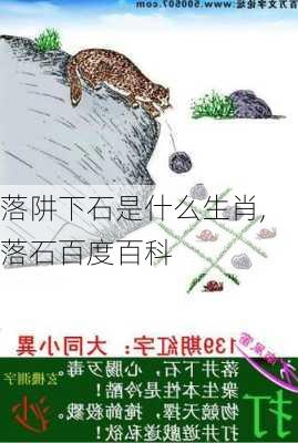 落阱下石是什么生肖,落石百度百科