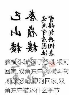 参横斗转,狮子怒吼,银河回家,双角东守,参横斗转,狮子怒吼,银河回家,双角东守描述什么季节