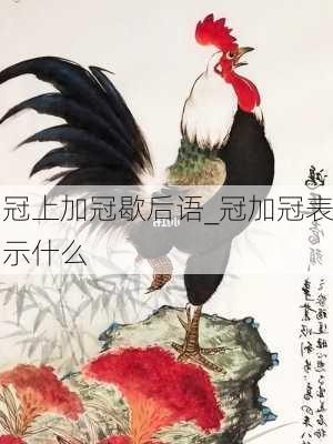 冠上加冠歇后语_冠加冠表示什么