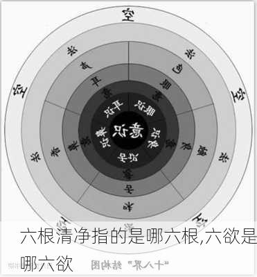 六根清净指的是哪六根,六欲是哪六欲