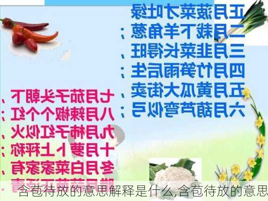 含苞待放的意思解释是什么,含苞待放的意思