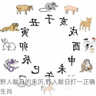 野人献日的来历,野人献日打一正确生肖