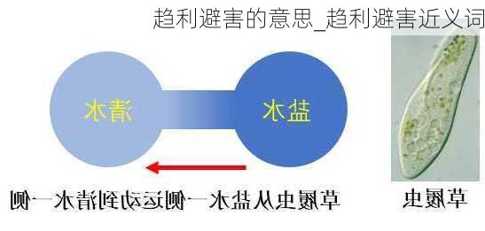 趋利避害的意思_趋利避害近义词