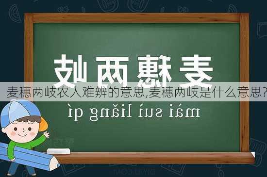 麦穗两岐农人难辨的意思,麦穗两岐是什么意思?