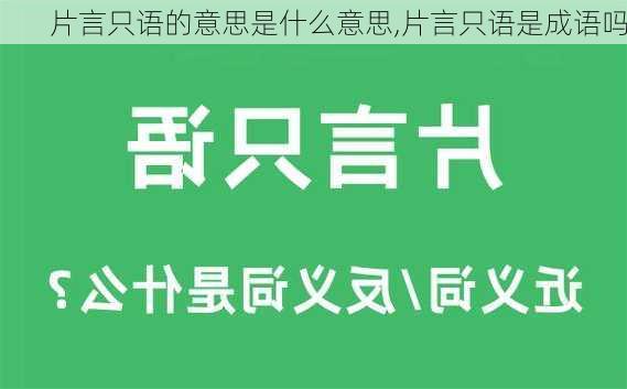 片言只语的意思是什么意思,片言只语是成语吗