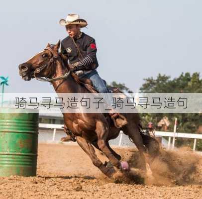 骑马寻马造句子_骑马寻马造句