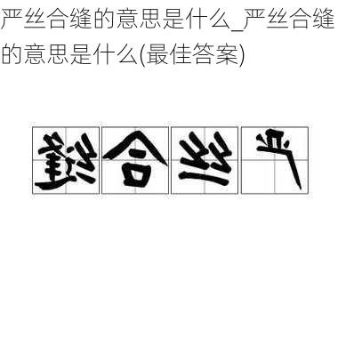 严丝合缝的意思是什么_严丝合缝的意思是什么(最佳答案)