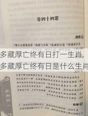 多藏厚亡终有日打一生肖,多藏厚亡终有日是什么生肖