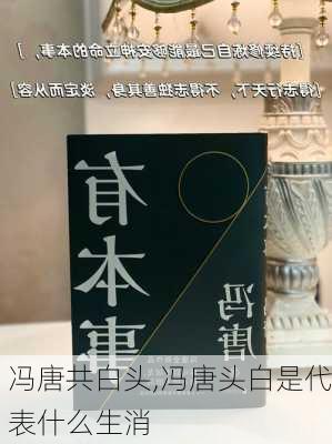 冯唐共白头,冯唐头白是代表什么生消