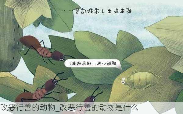 改恶行善的动物_改恶行善的动物是什么