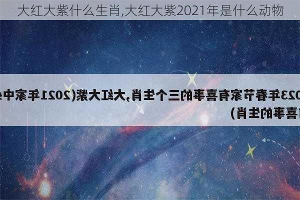 大红大紫什么生肖,大红大紫2021年是什么动物