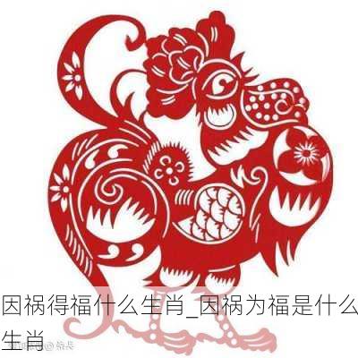 因祸得福什么生肖_因祸为福是什么生肖