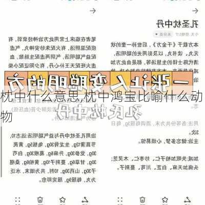 枕中什么意思,枕中鸿宝比喻什么动物