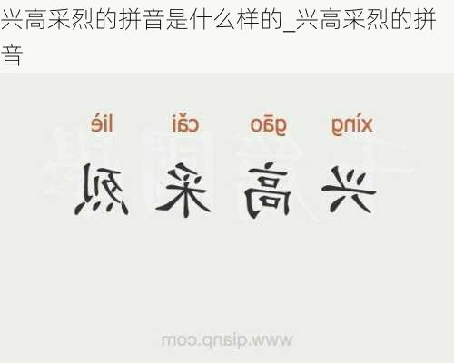 兴高采烈的拼音是什么样的_兴高采烈的拼音