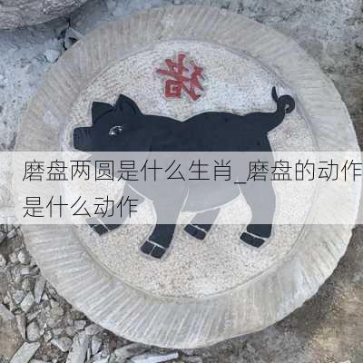 磨盘两圆是什么生肖_磨盘的动作是什么动作