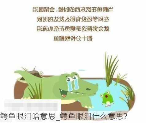 鳄鱼眼泪啥意思_鳄鱼眼泪什么意思?