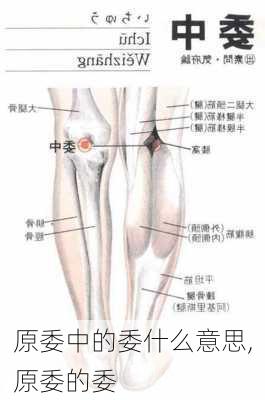 原委中的委什么意思,原委的委