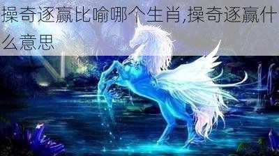 操奇逐赢比喻哪个生肖,操奇逐赢什么意思