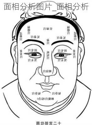 面相分析图片_面相分析