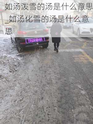 如汤泼雪的汤是什么意思_如汤化雪的汤是什么意思