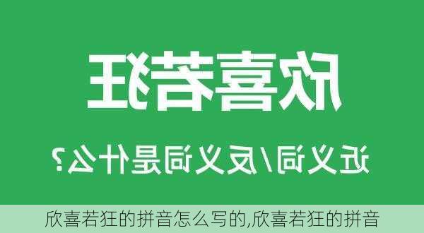 欣喜若狂的拼音怎么写的,欣喜若狂的拼音