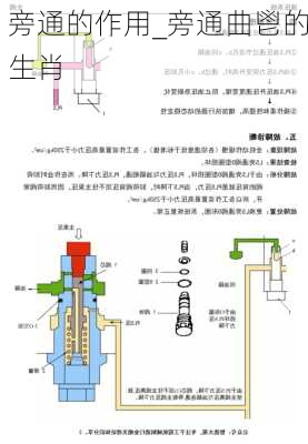 旁通的作用_旁通曲鬯的生肖