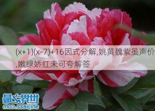 (x+1)(x-7)+16因式分解,姚黄魏紫虽声价,嫩绿娇红未可夸解签