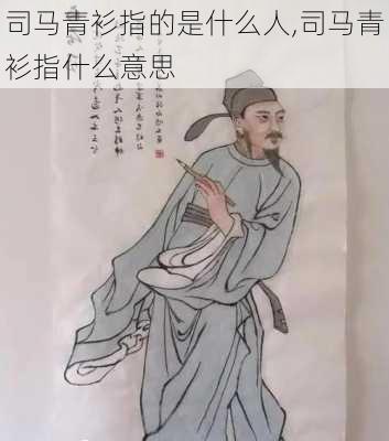 司马青衫指的是什么人,司马青衫指什么意思