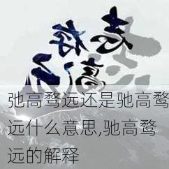 弛高骛远还是驰高鹜远什么意思,驰高鹜远的解释