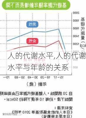 人的代谢水平,人的代谢水平与年龄的关系