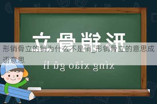 形销骨立的销为什么不是消_形销骨立的意思成语意思