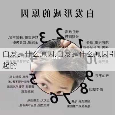 白发是什么原因,白发是什么原因引起的