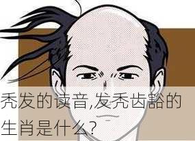 秃发的读音,发秃齿豁的生肖是什么?