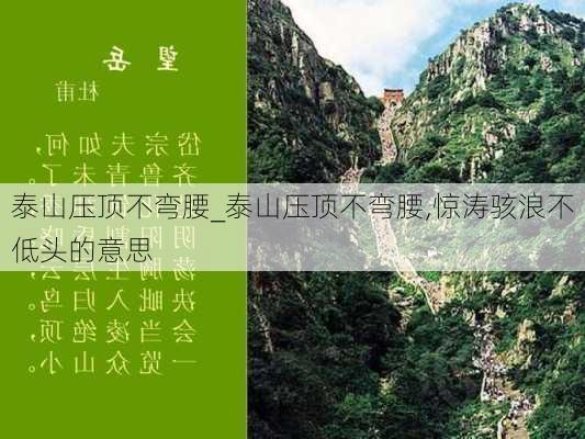 泰山压顶不弯腰_泰山压顶不弯腰,惊涛骇浪不低头的意思