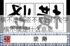 横不是横竖不是竖打个字_横不横是什么意思