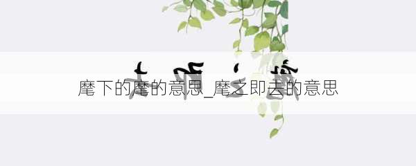 麾下的麾的意思_麾之即去的意思