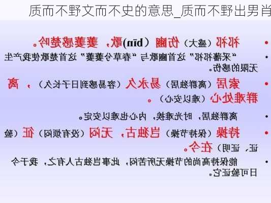 质而不野文而不史的意思_质而不野出男肖