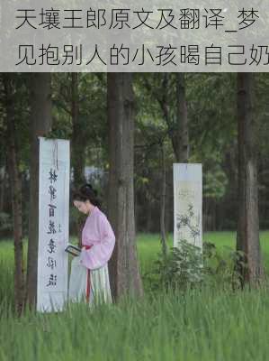 天壤王郎原文及翻译_梦见抱别人的小孩暍自己奶