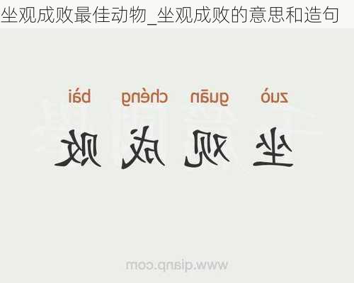 坐观成败最佳动物_坐观成败的意思和造句