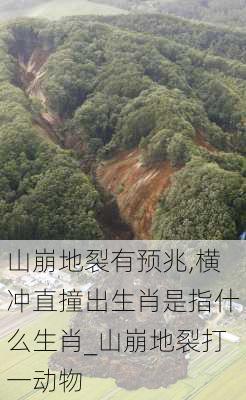 山崩地裂有预兆,横冲直撞出生肖是指什么生肖_山崩地裂打一动物