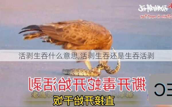 活剥生吞什么意思,活剥生吞还是生吞活剥