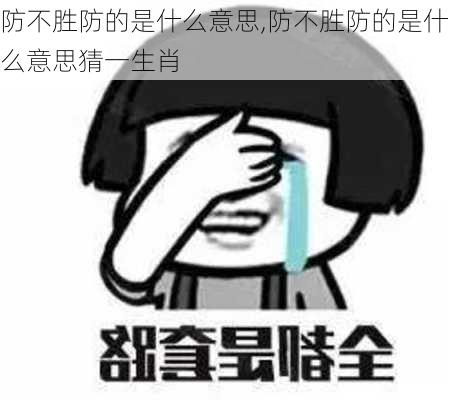 防不胜防的是什么意思,防不胜防的是什么意思猜一生肖