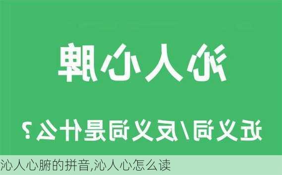 沁人心腑的拼音,沁人心怎么读