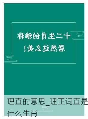 理直的意思_理正词直是什么生肖