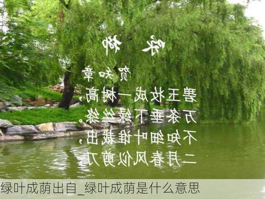 绿叶成荫出自_绿叶成荫是什么意思