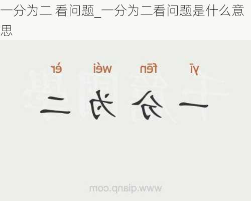 一分为二 看问题_一分为二看问题是什么意思