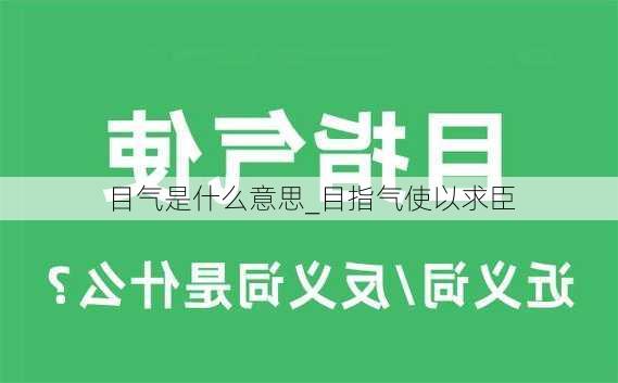 目气是什么意思_目指气使以求臣