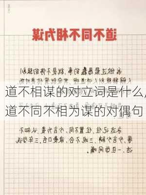 道不相谋的对立词是什么,道不同不相为谋的对偶句