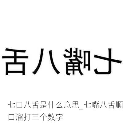 七口八舌是什么意思_七嘴八舌顺口溜打三个数字