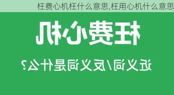 枉费心机枉什么意思,枉用心机什么意思